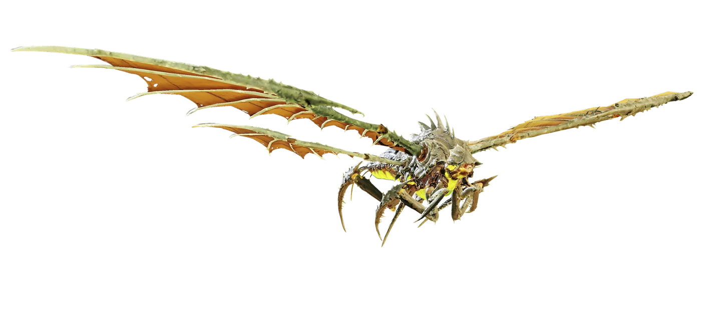 Dragonroach